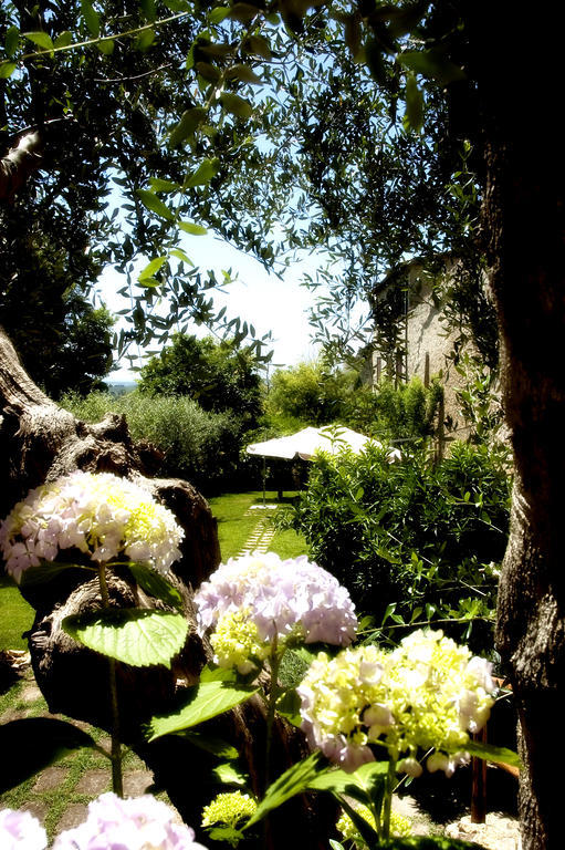 Locanda Delle Mura Anna De Croy Magliano in Toscana Exterior photo