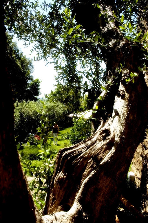 Locanda Delle Mura Anna De Croy Magliano in Toscana Exterior photo